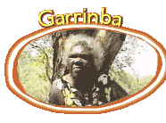 Garrinba's Story